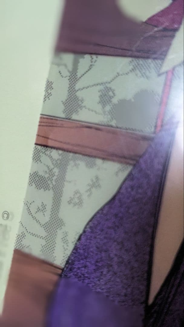 文スト 文豪ストレイドッグス 一葉記念館コラボクリアファイル 樋口一葉