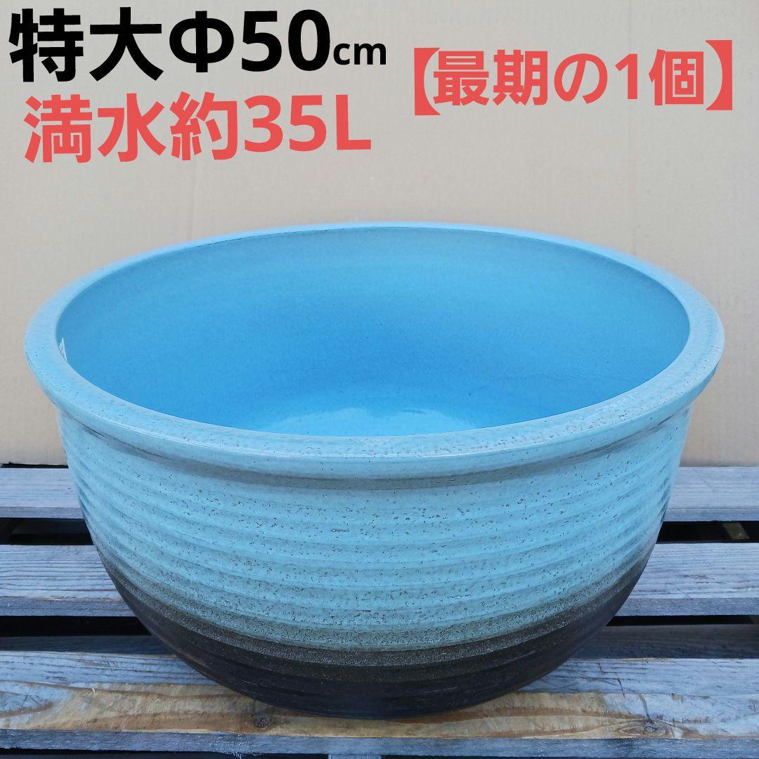 新品　特大50　陶器　睡蓮鉢　メダカ鉢　難有　ラリマーブルー　スカイブルーLWC