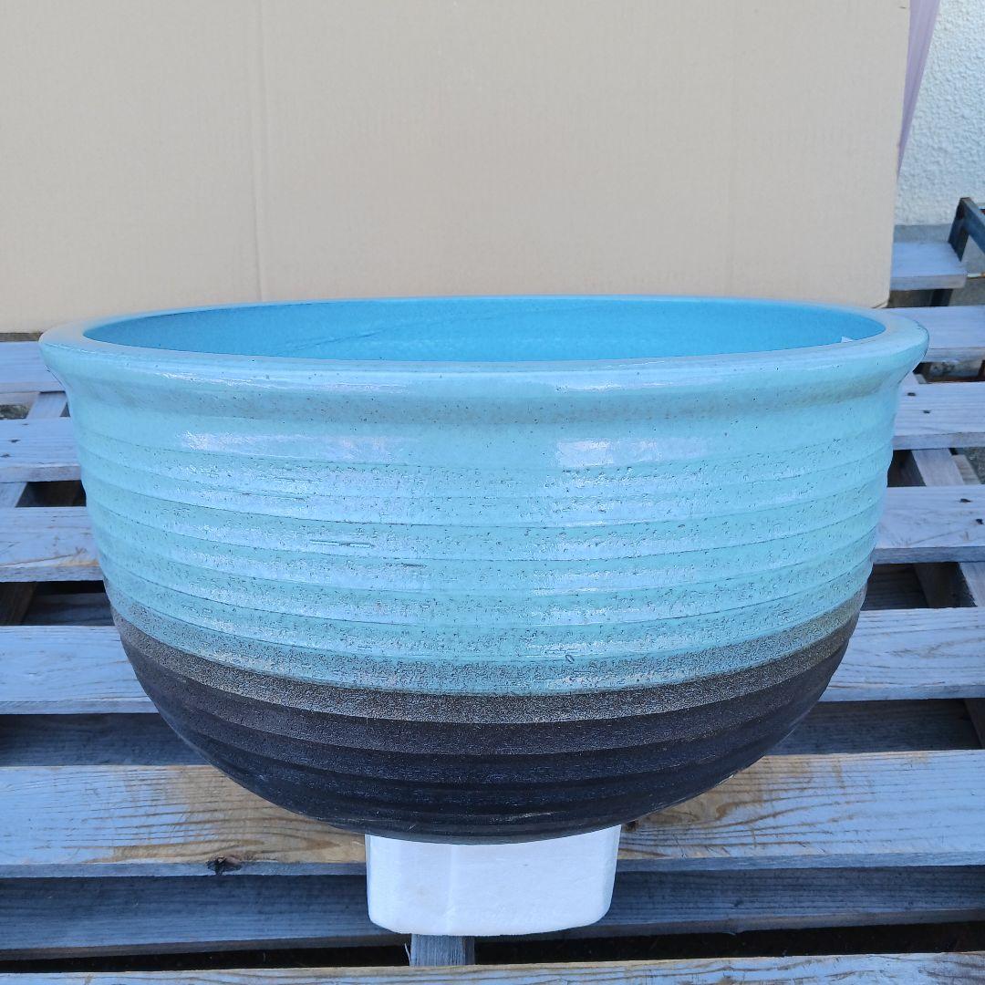新品　特大50　陶器　睡蓮鉢　メダカ鉢　難有　ラリマーブルー　スカイブルーLWC