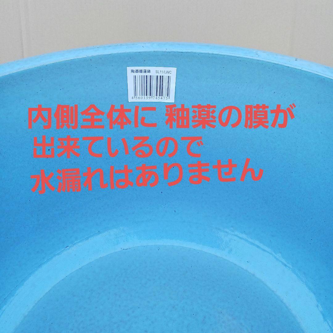 新品　特大50　陶器　睡蓮鉢　メダカ鉢　難有　ラリマーブルー　スカイブルーLWC