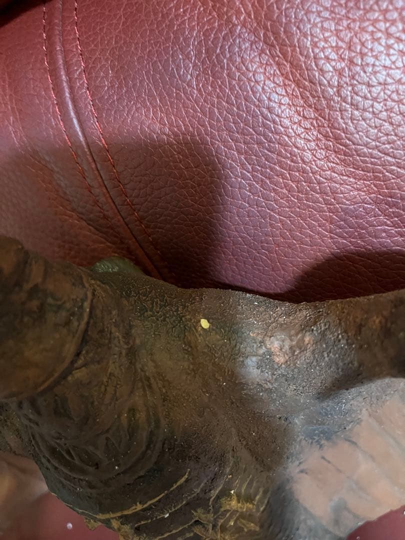 巨大リアルフィギュア ラドン (空の大怪獣ラドン) ユニファイブ