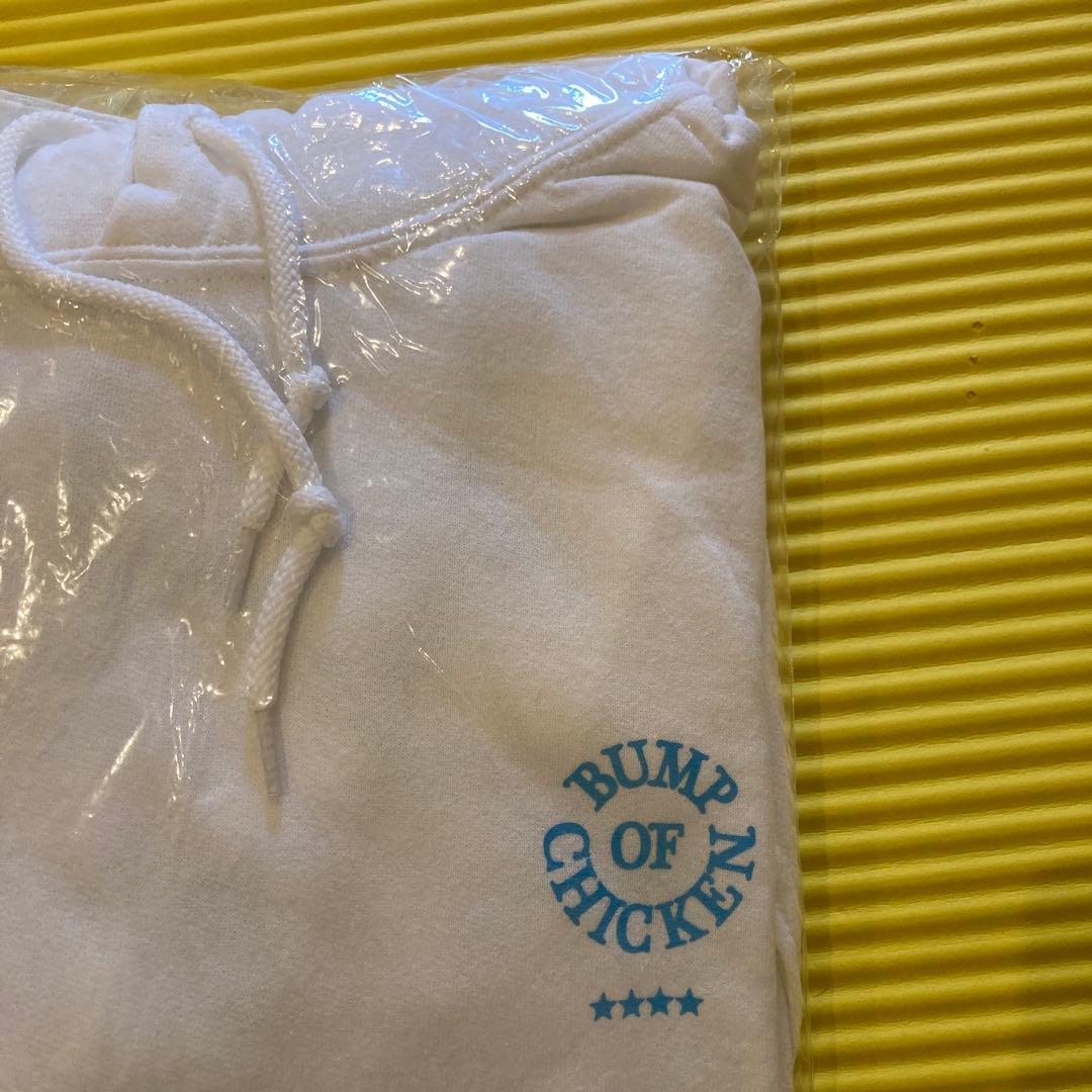 BUMP OF CHICKEN×VERDYコラボパーカー XL