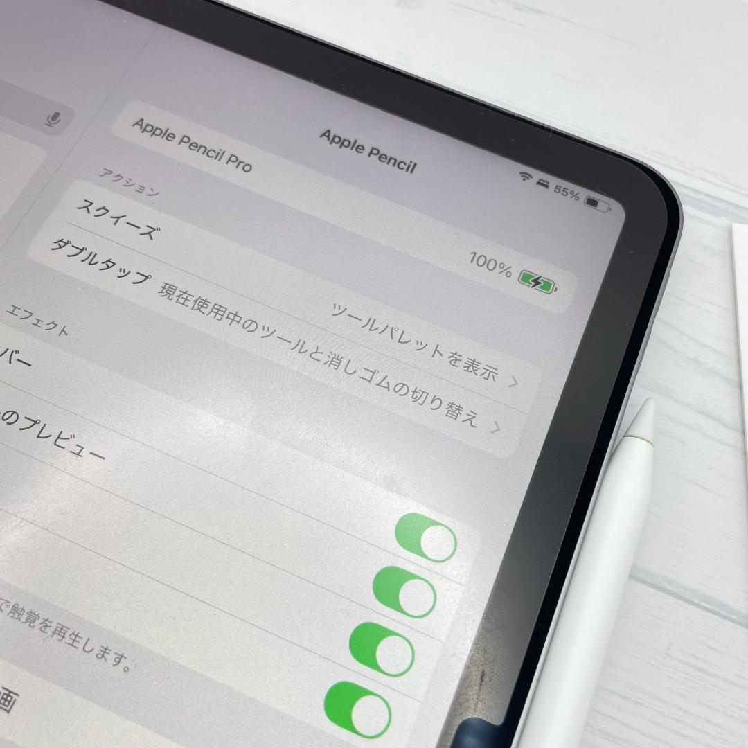 限定保証あり【美品】Apple Pencil Pro 本体＋替え芯