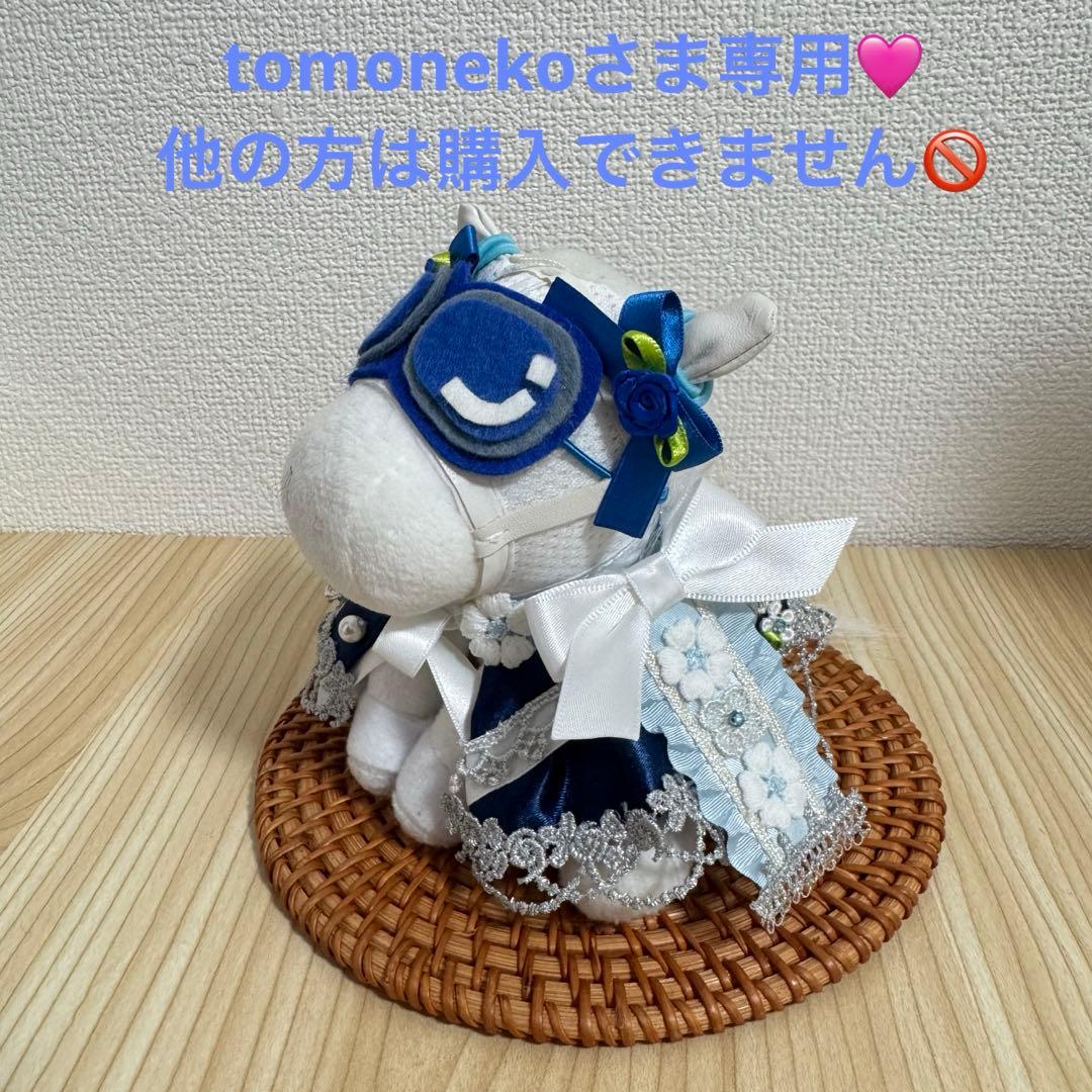 tomonekoさま専用です。