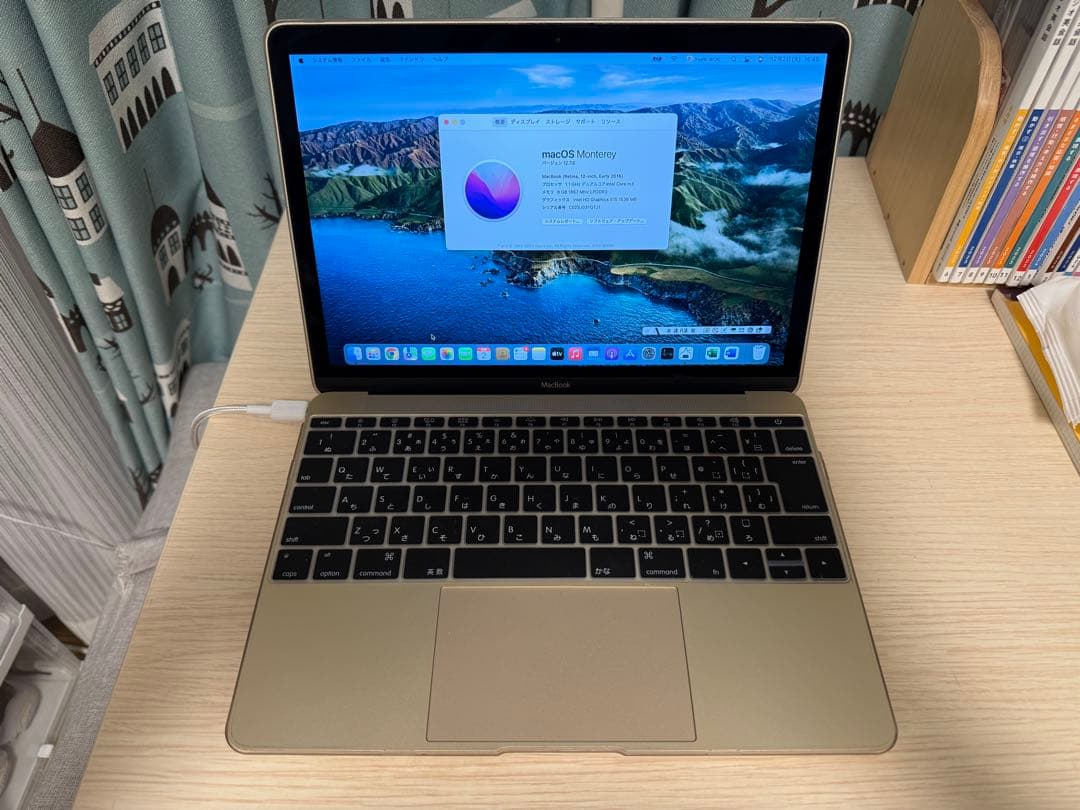 MacBook 12インチ Early 2016 8GB 256GB Gold