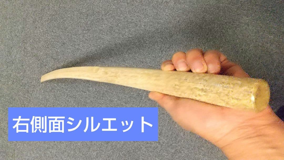 マッコウクジラの骨で作った『鯨刀骨』全長101cm/重さ1050g