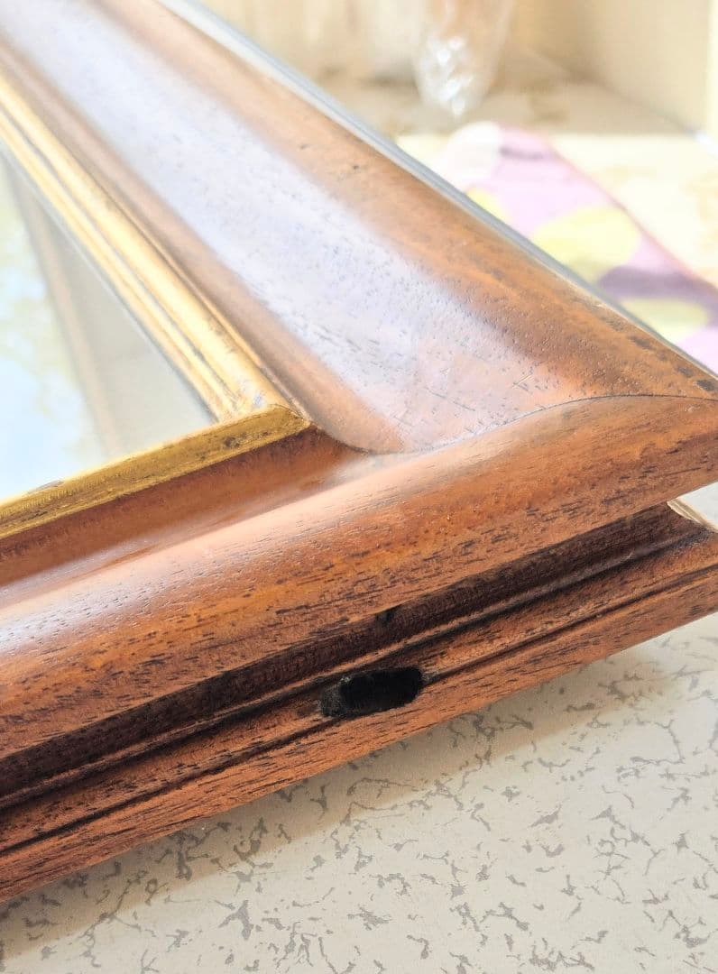 ユリの水彩画 1864年制作