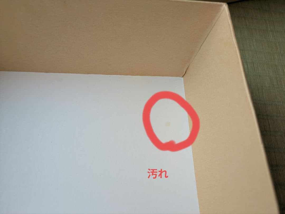 ☆激レア☆　Vivitix　キティ ダニエル　ウェディング　日焼け