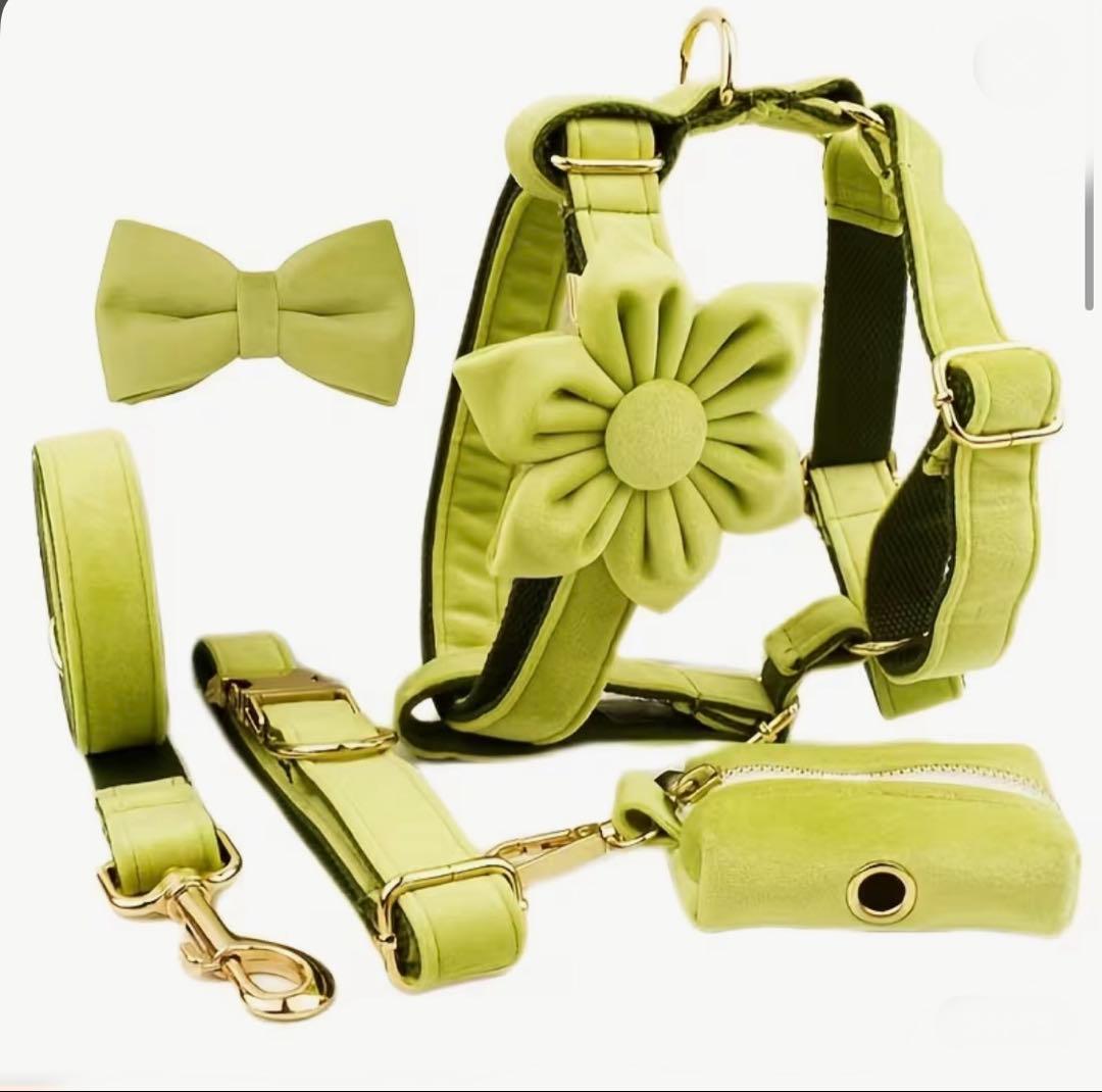 オーダー 名前 ネイム 首輪 ピンク リード ハーネス セット ベルベット