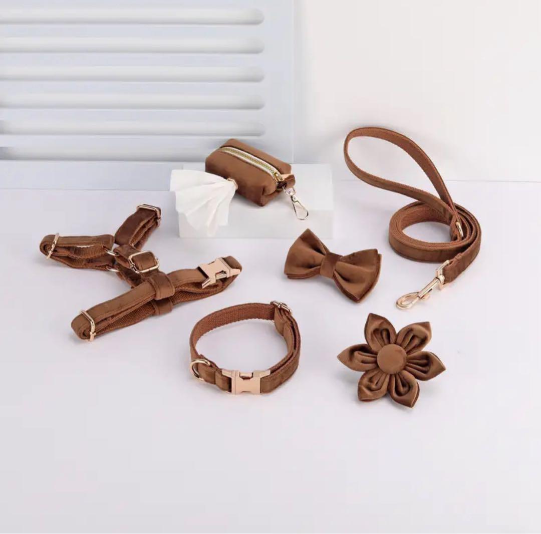 オーダー 名前 ネイム 首輪 ピンク リード ハーネス セット ベルベット