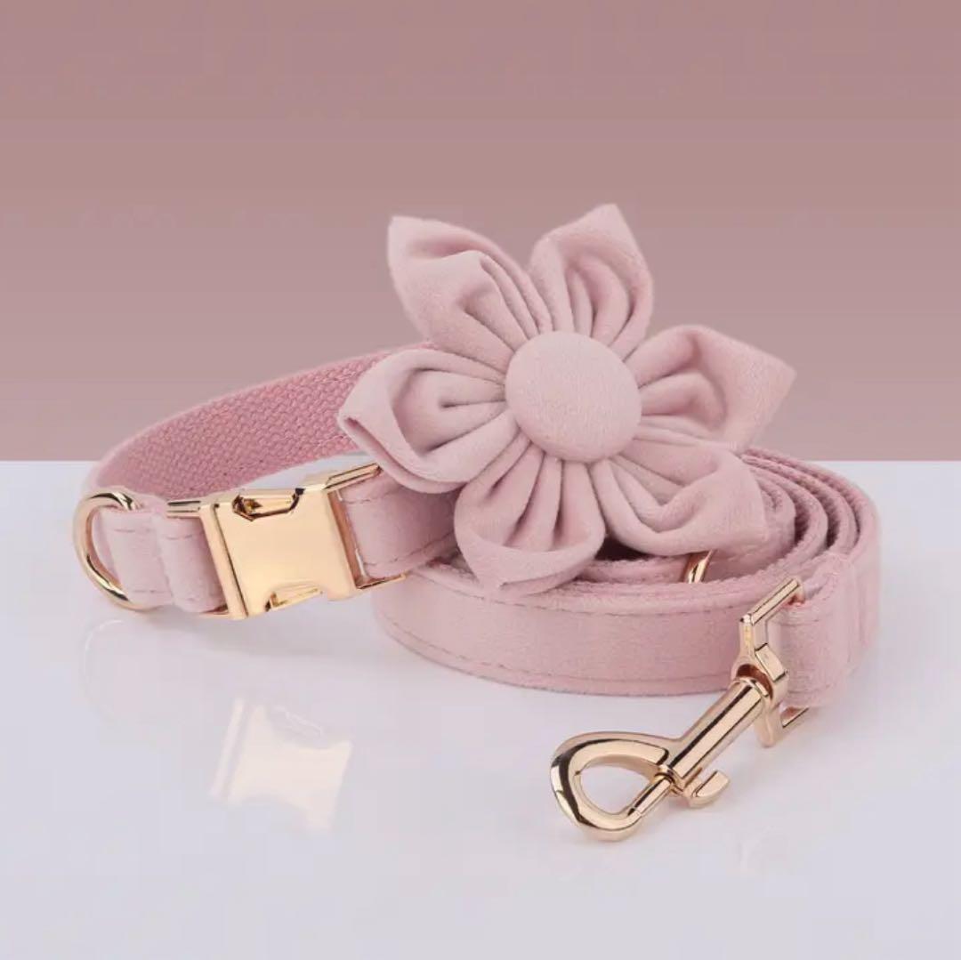 オーダー 名前 ネイム 首輪 ピンク リード ハーネス セット ベルベット