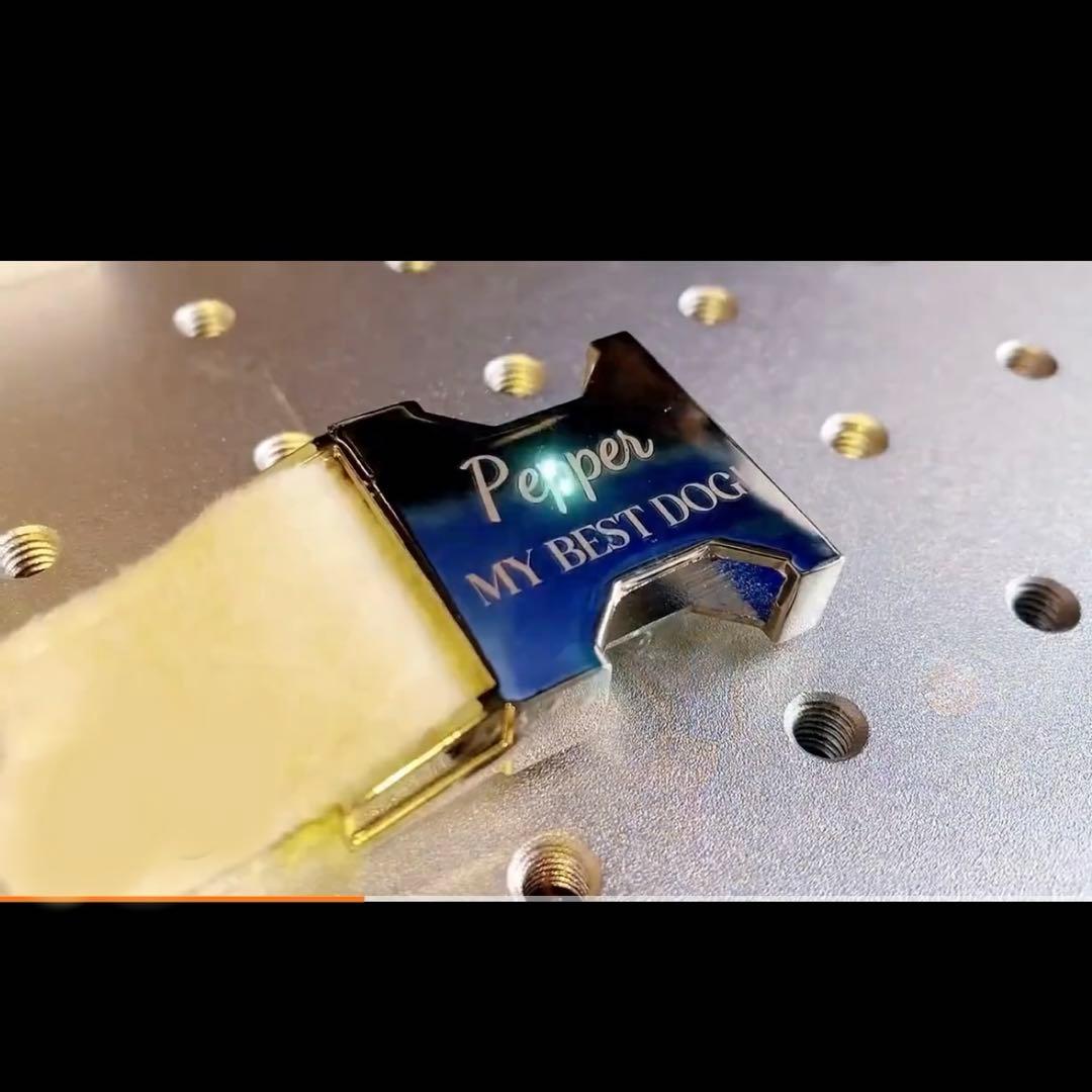 オーダー 名前 ネイム 首輪 ピンク リード ハーネス セット ベルベット