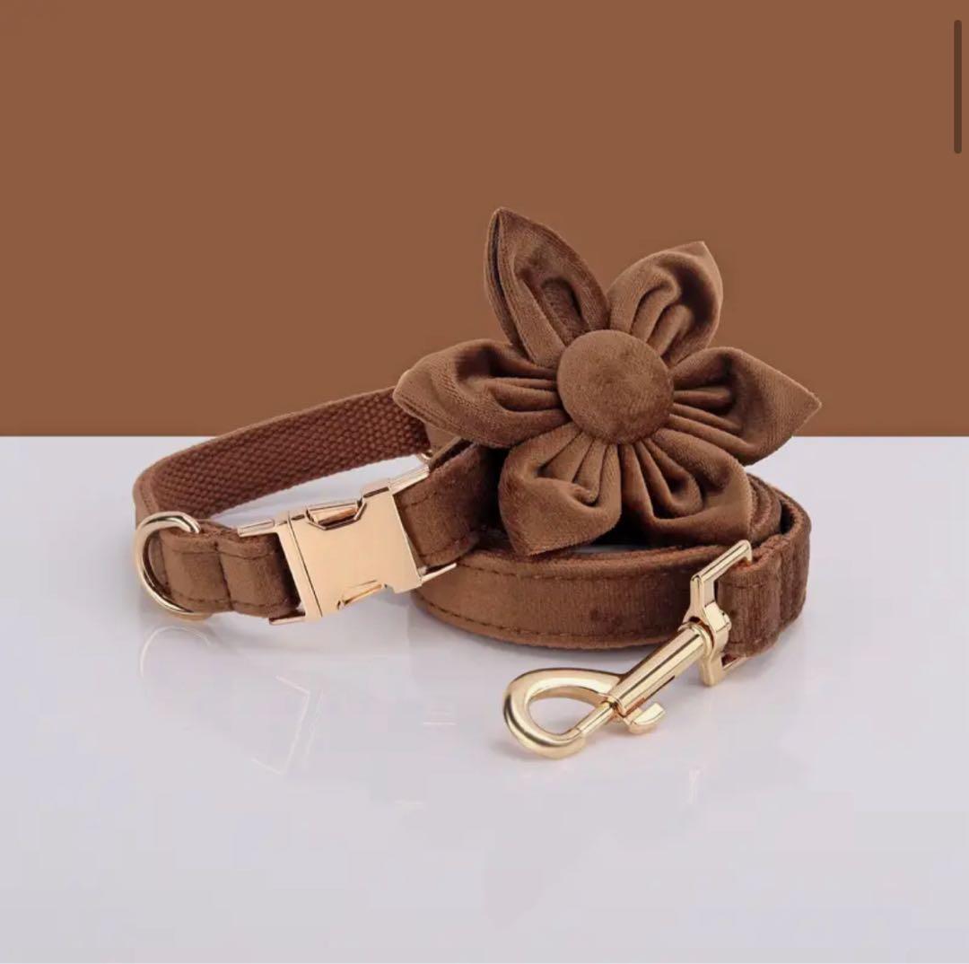 オーダー 名前 ネイム 首輪 ピンク リード ハーネス セット ベルベット