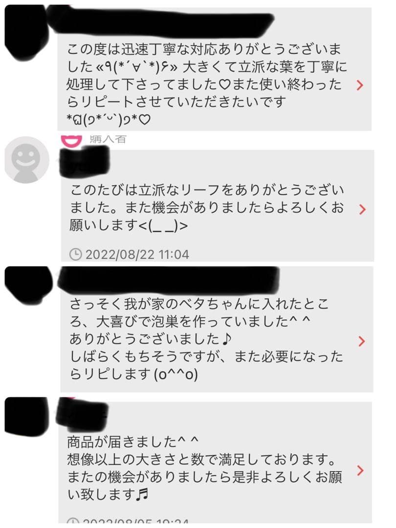沖縄県やんばる産マジックリーフ 1kg UV殺菌灯照射済み①