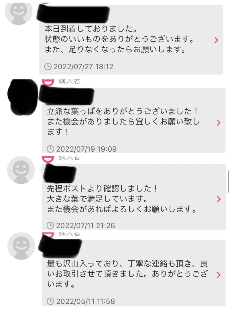 沖縄県やんばる産マジックリーフ 1kg UV殺菌灯照射済み①