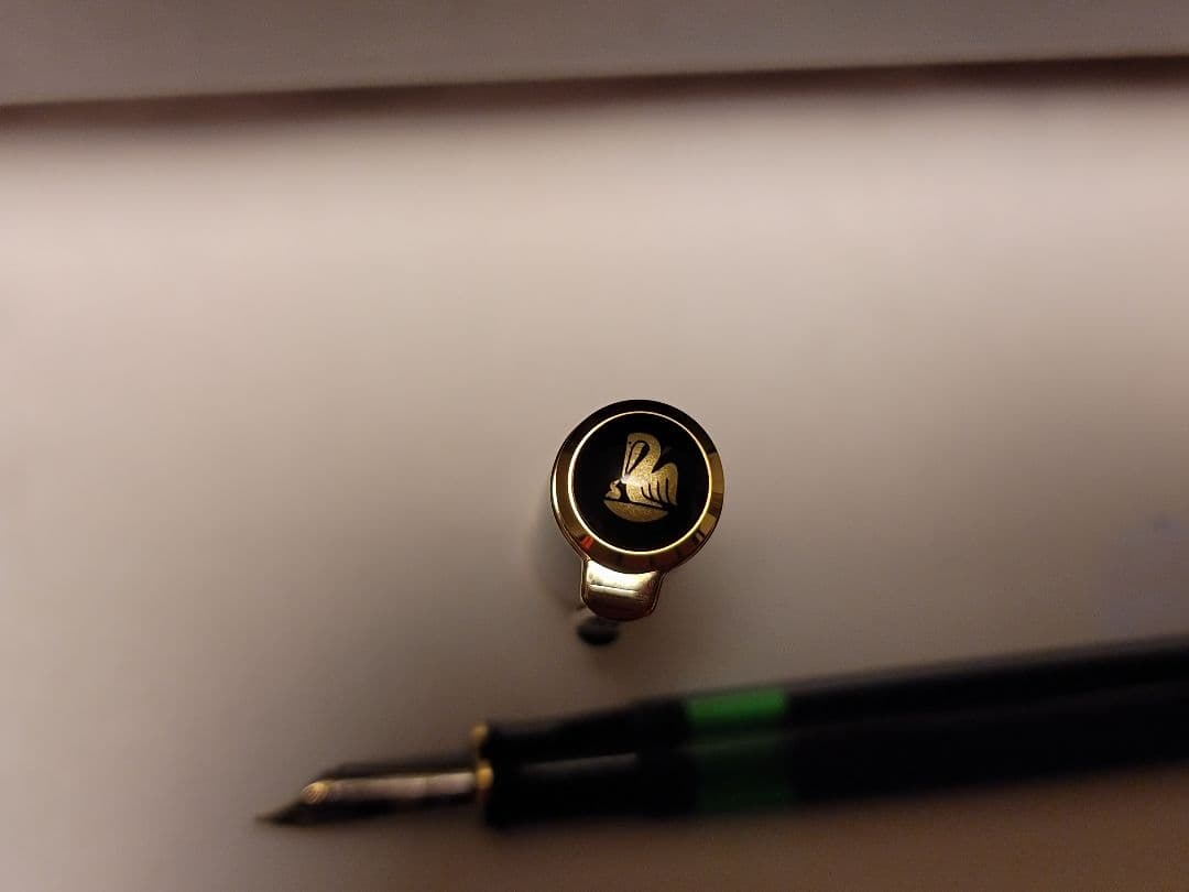 Purple fish　ペリカン　Pelikan万年筆　M600 M