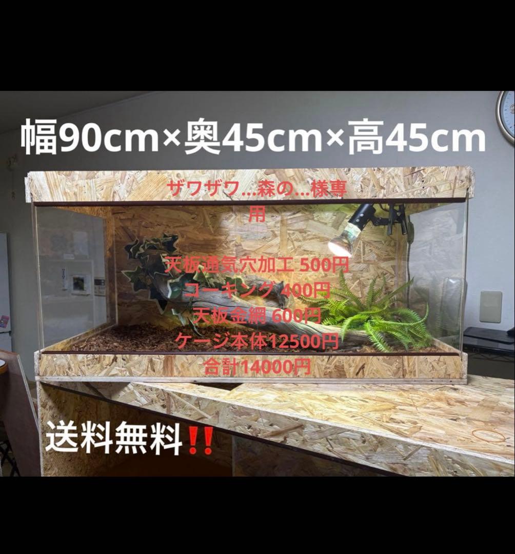 ①ザワザワ...森の... 904545