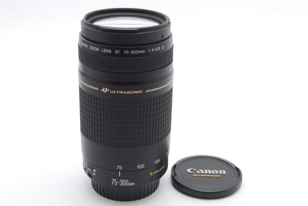 レンズ(ズーム) Canon EF 75-300mm f/4-5.6 II L0230