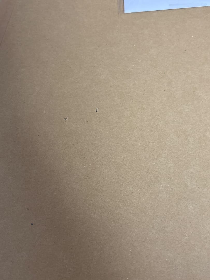 萩尾望都　エヴァンズの遺書　40周年記念原画展