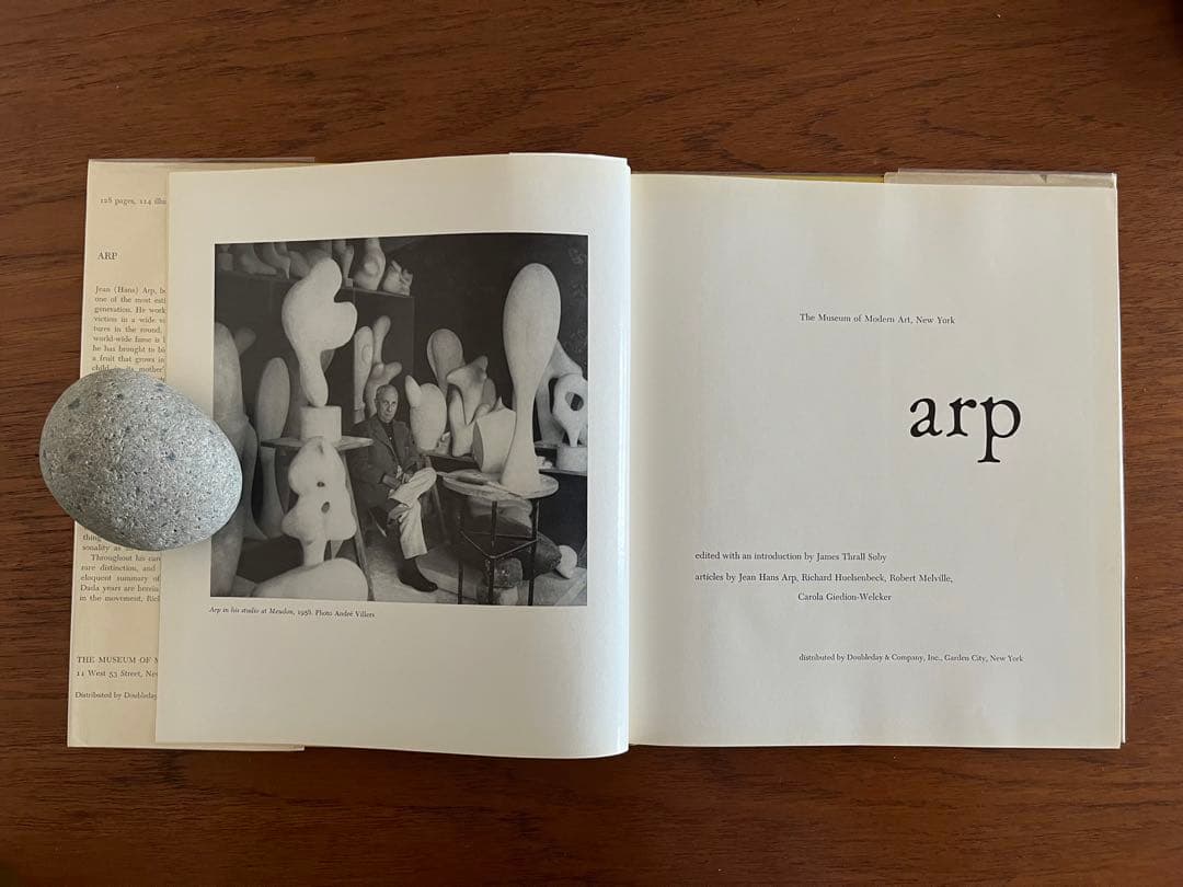 芸術写真 arp / The Museum of Modern Art