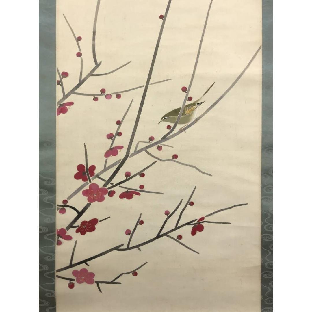 真作/黒光茂樹/紅梅鴬図/ウグイス/掛軸/名家伝来/AK-401