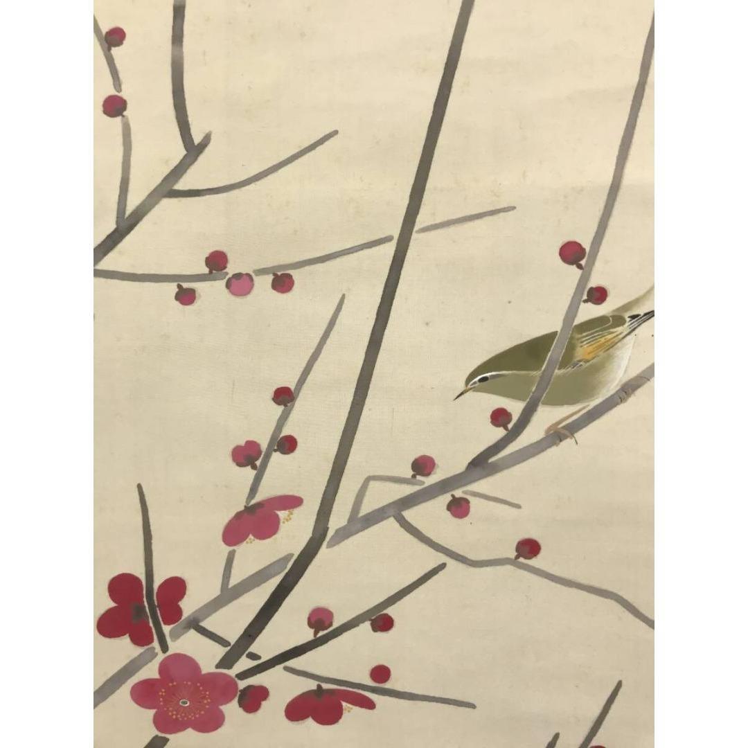 真作/黒光茂樹/紅梅鴬図/ウグイス/掛軸/名家伝来/AK-401
