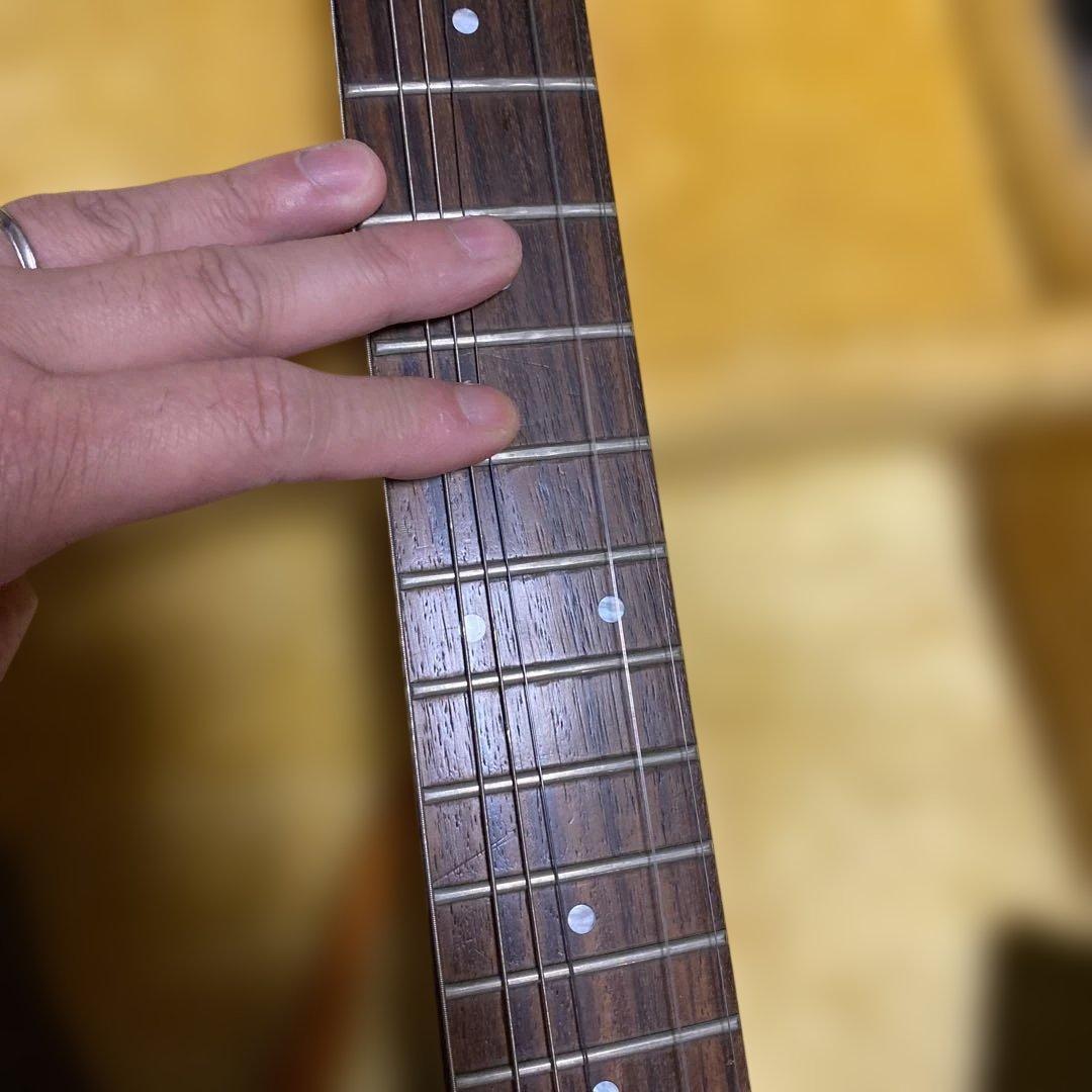 FERNANDES SUSTAINER純正ソフトケース