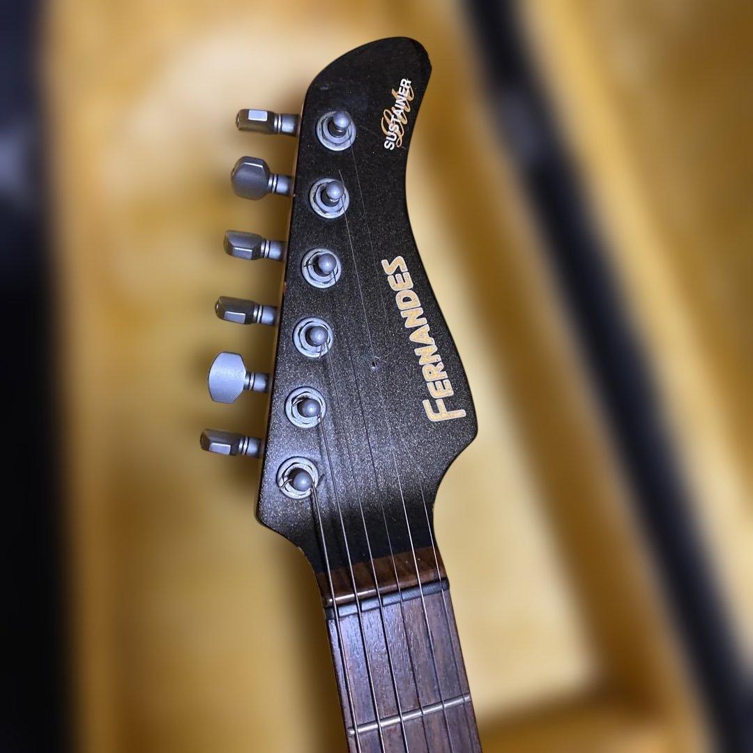 FERNANDES SUSTAINER純正ソフトケース