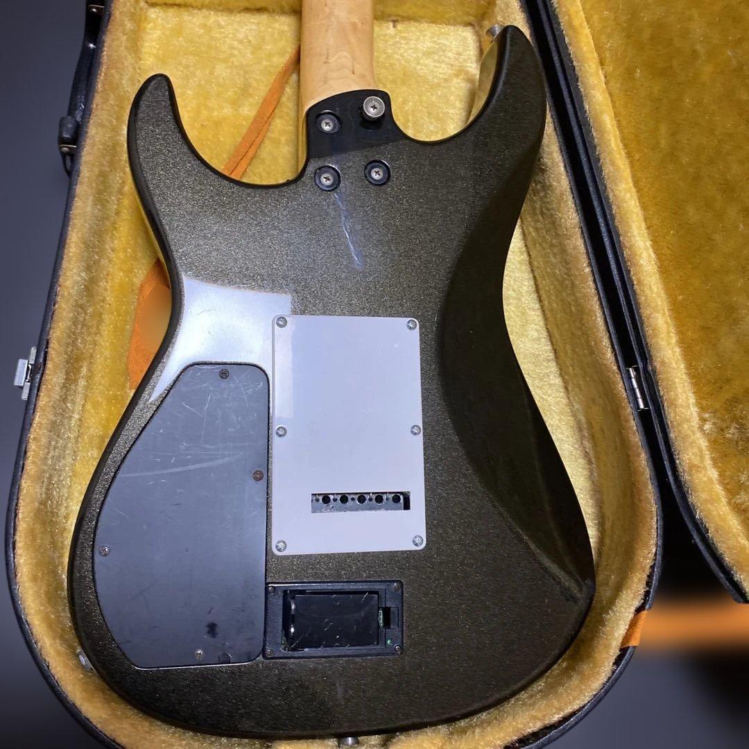 FERNANDES SUSTAINER純正ソフトケース