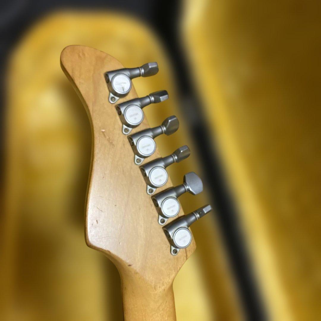 FERNANDES SUSTAINER純正ソフトケース