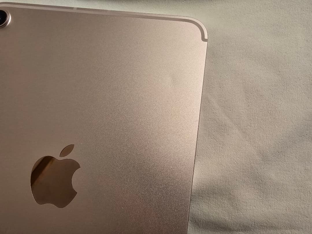 Apple iPad mini 第6世代 セルラー 64GB ピンク ケース付き