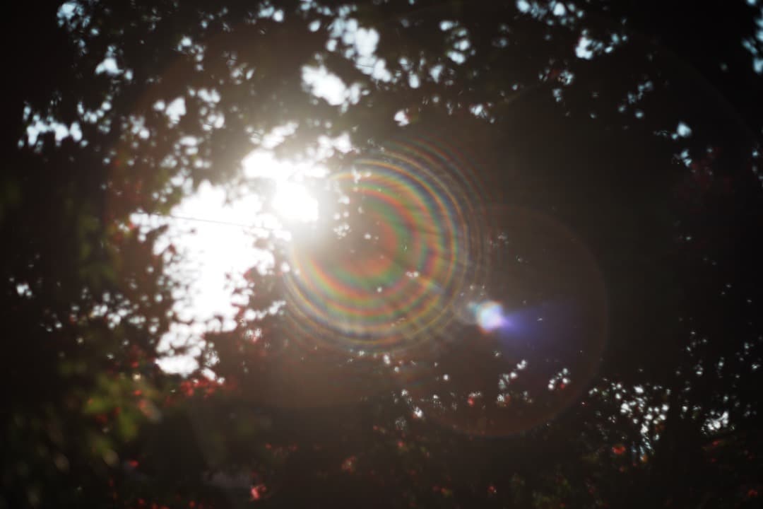 Yujiさん専用 動作◎ Super Takumar 55mm F1.8 16