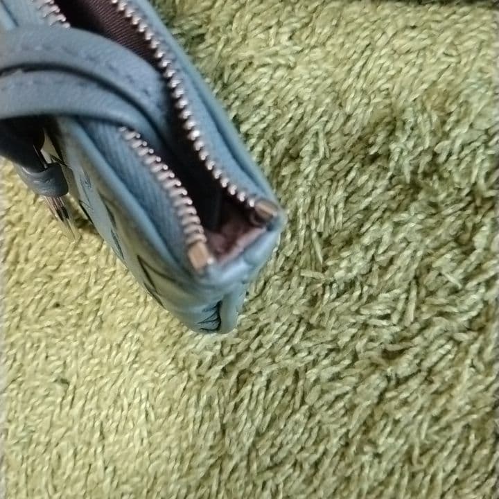 Bottega Veneta ブルー/ ケース