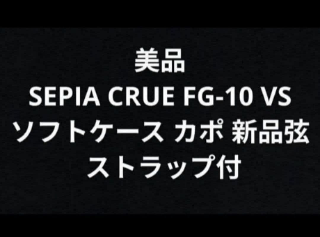 初心者に超オススメ！ 美品 DVD付き SEPIA CRUE FG-10 VS