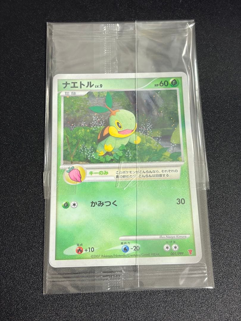 スラリ様【未開封】トレーナズクラブプロモ　プレイヤーズ2007年001/PPP