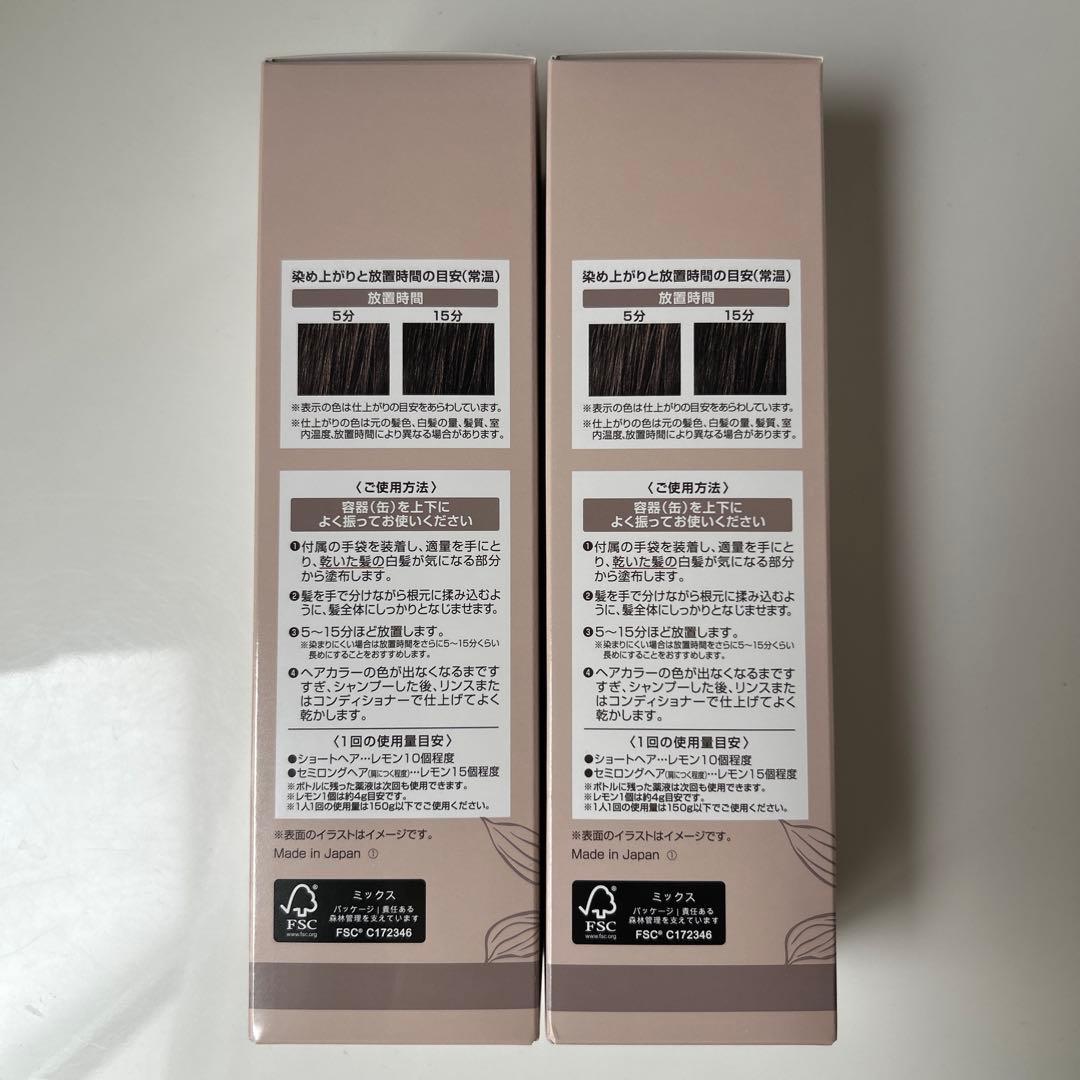 ヘアボーテ エクラ ボタニカル エアカラーフォームup ダークブラウン２本