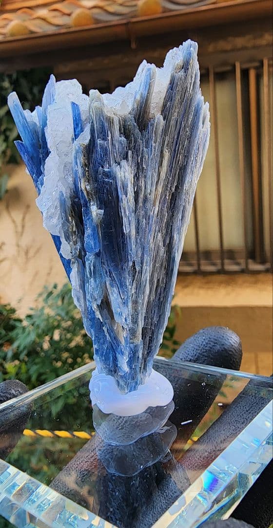 ブラジル・ミナスジェライス州産　極上ブルーカイヤナイト 原石 結晶　クォーツ共生