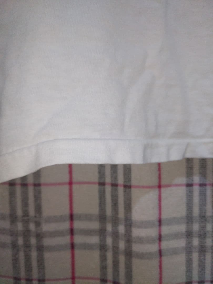 チャンピオンボディー　グーフィープリントティーシャツ