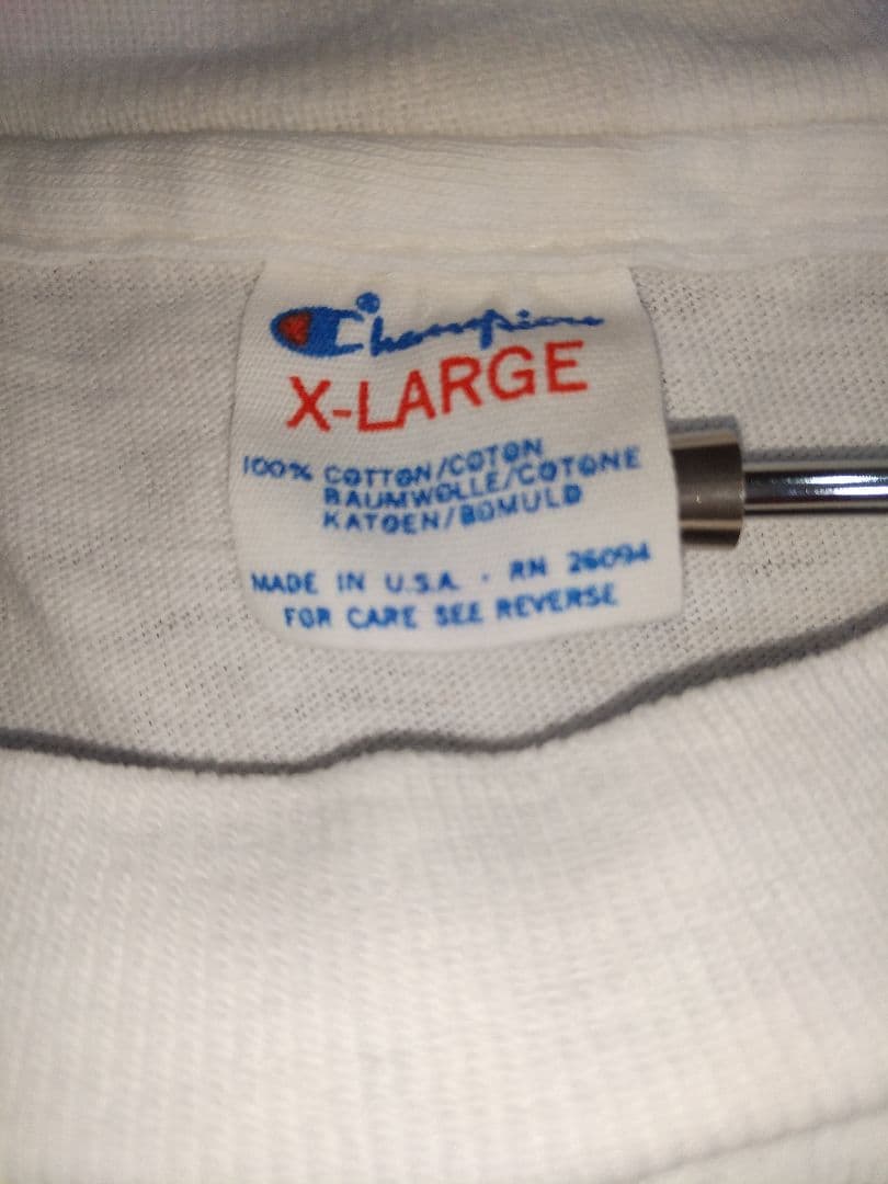 チャンピオンボディー　グーフィープリントティーシャツ