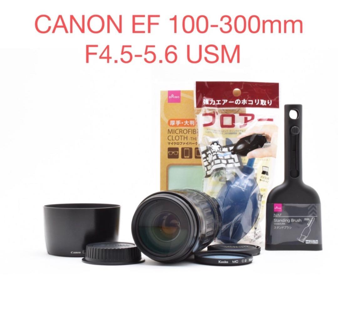 一眼レフカメラ CANON EF 100-300mm F4.5-5.6 USM