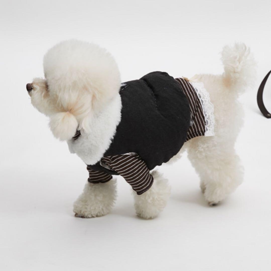 〚Louisdog〛 ルイスドッグ ダウンベストXSサイズ ペット 韓国 新品