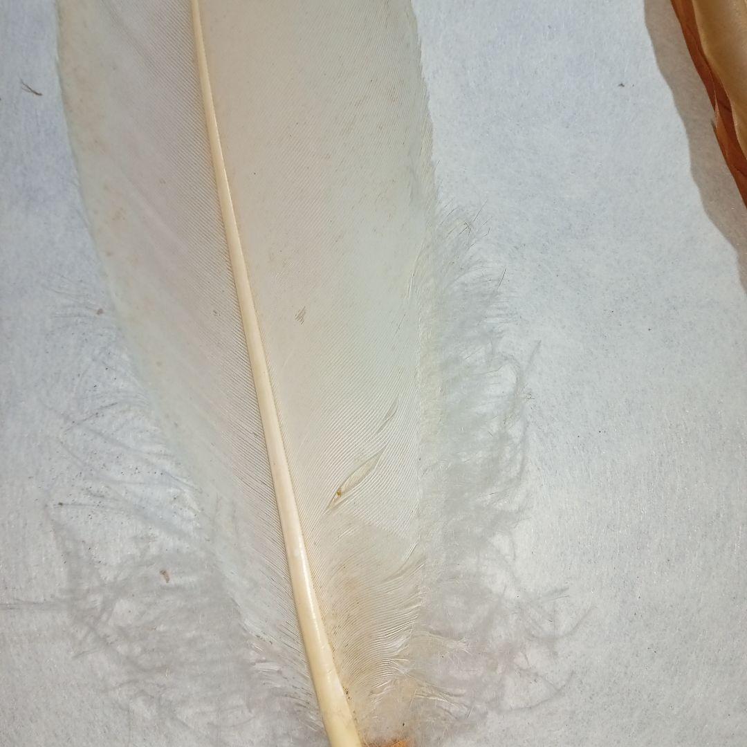 茶道具　羽箒3本セット