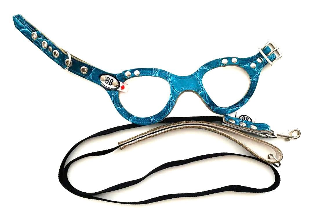 バディーベルト ブルーグリーン 3号 リードSサイズ 青色