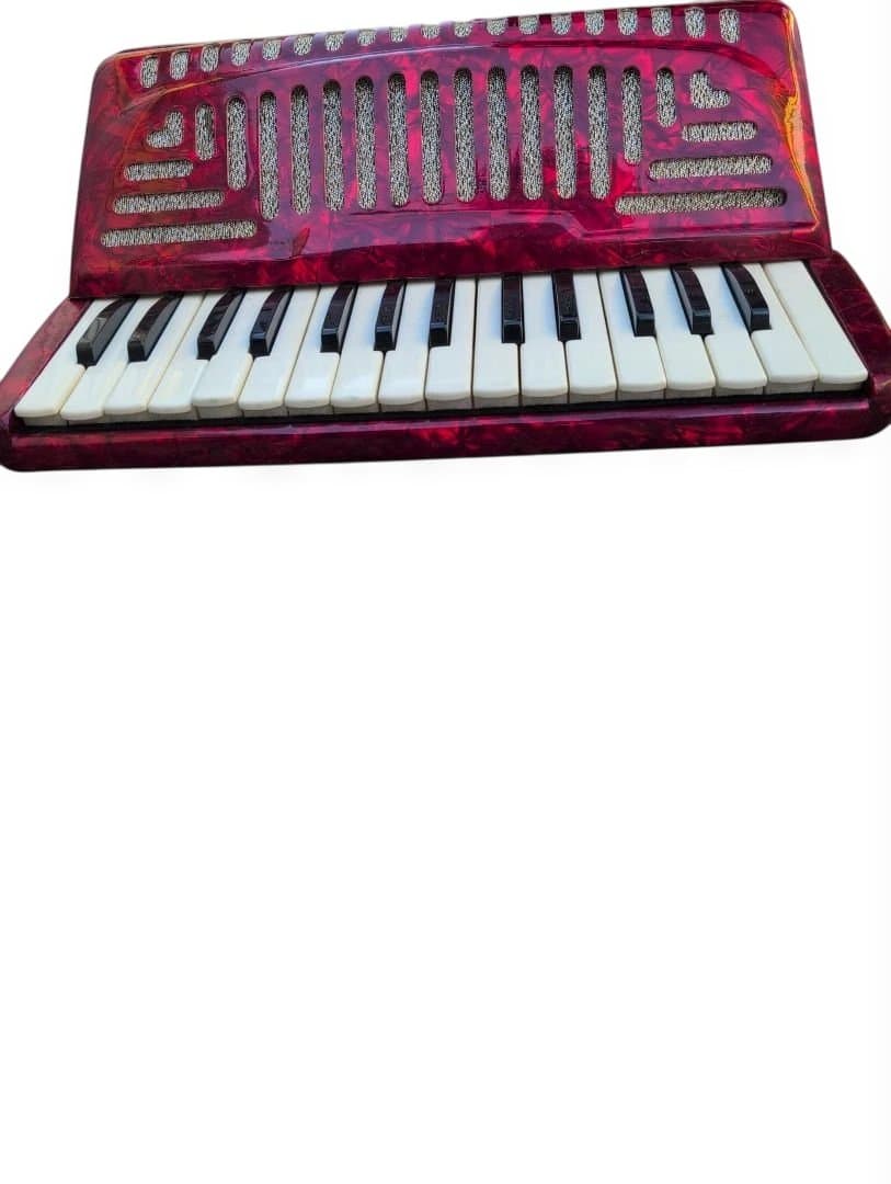 YAMAHA ヤマハ 鍵盤楽器 アコーディオン レッド　ソフトケース