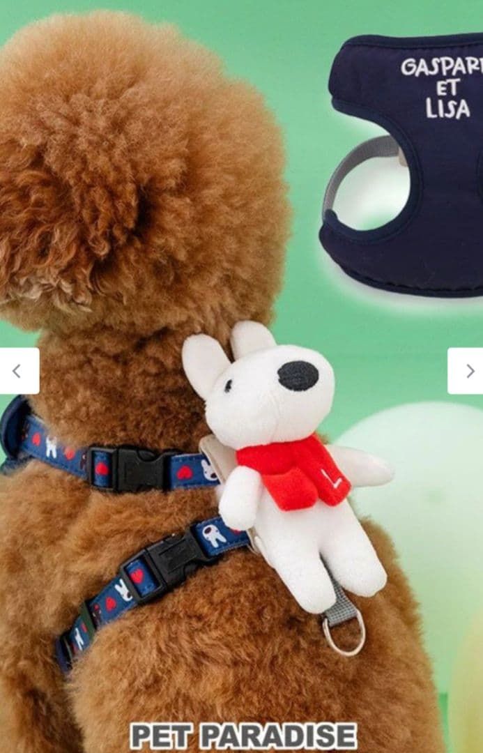 ペットパラダイス☆リサのマスコット付き❣️とっても可愛いハーネス＆リード☆3S