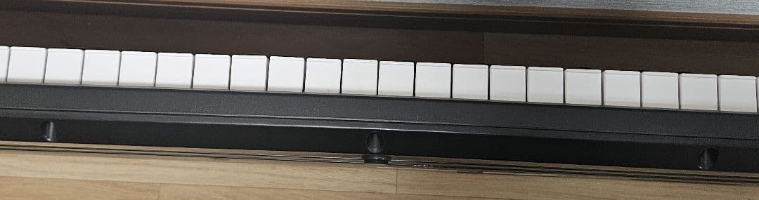 ローランド 電子ピアノGO:PIANO88 GO-88P