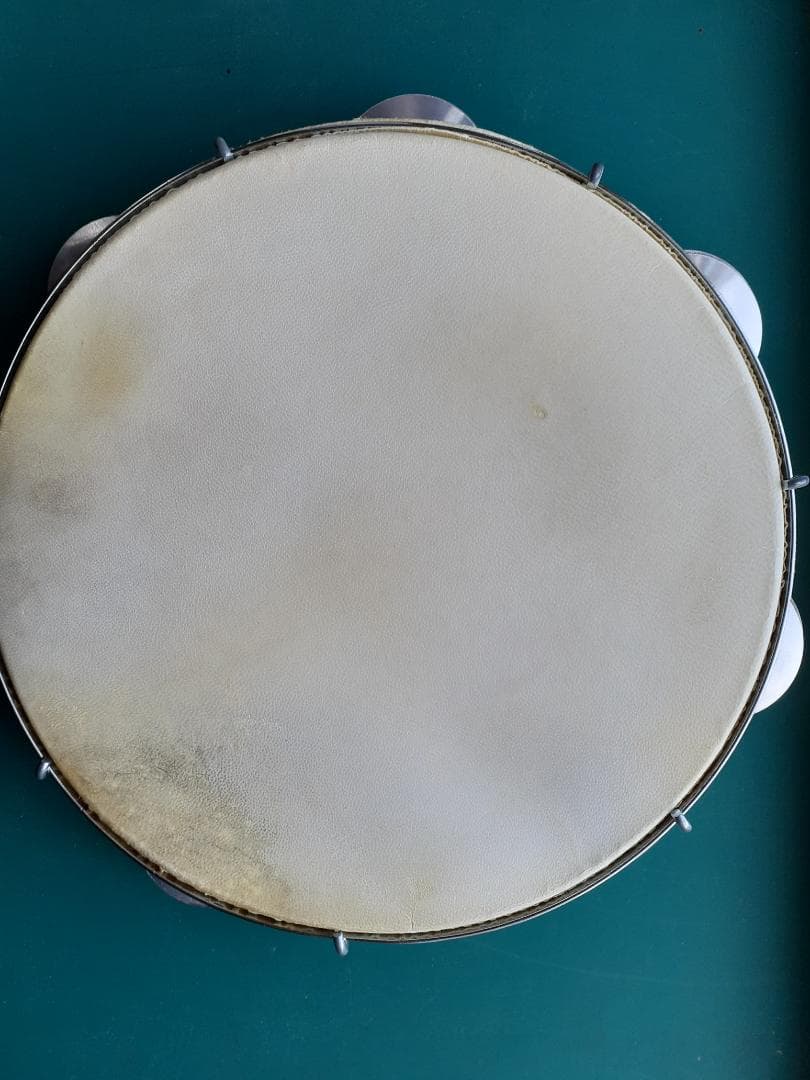 パンディロ シャローモデル ヤギ皮ヘッド 10インチ （重量約410ｇ）