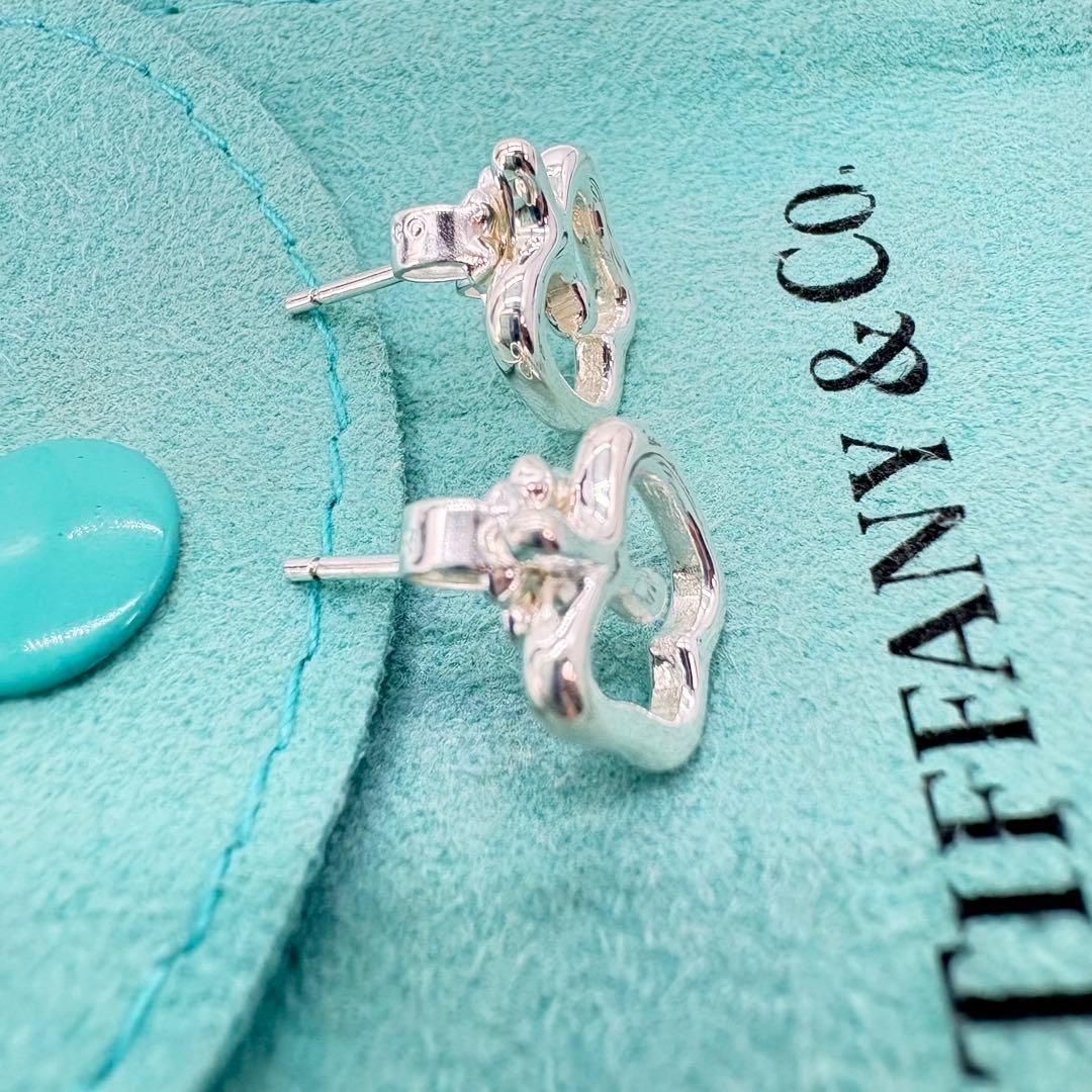 【極美品】ティファニー　アップルモチーフピアス　ミニサイズ　巾着袋セット　552