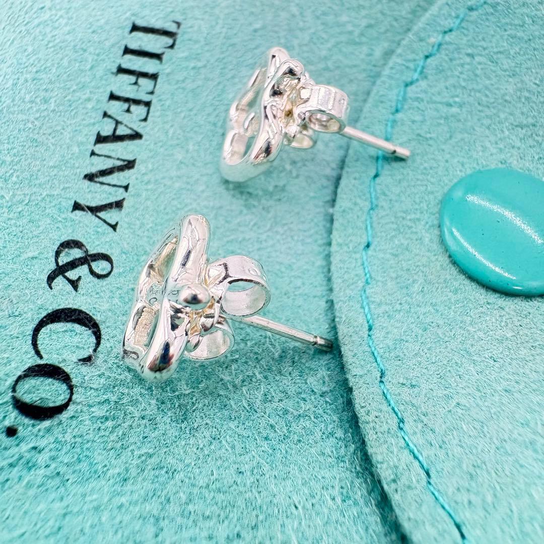 【極美品】ティファニー　アップルモチーフピアス　ミニサイズ　巾着袋セット　552