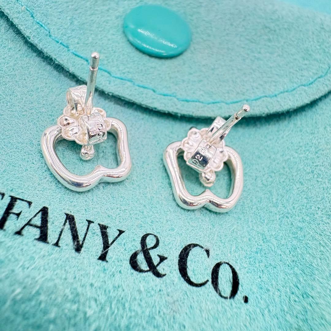 【極美品】ティファニー　アップルモチーフピアス　ミニサイズ　巾着袋セット　552